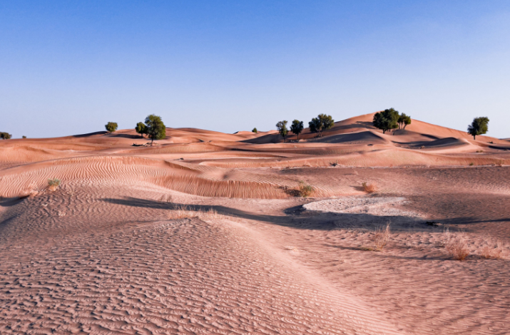 《全球荒漠化监测与数字治理倡议》发布