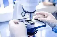 我国研发人员总量世界第一