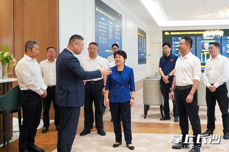 吴桂英调研马栏山视频文创产业园：奋力答好文化和科技融合命题