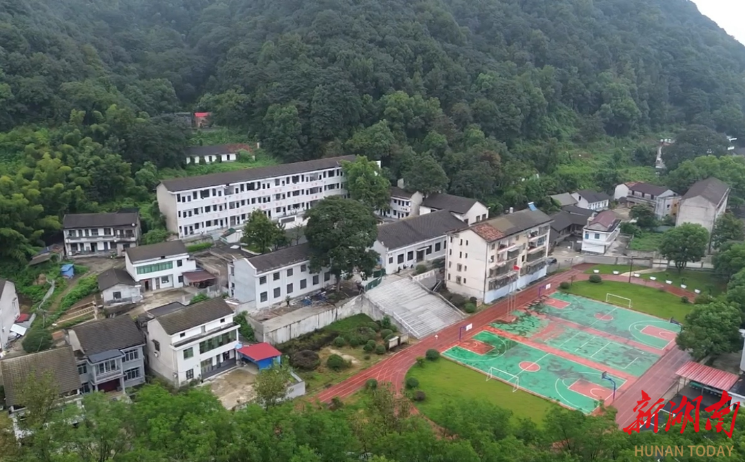 黄蜂蜇伤学生，桃江救援人员巧用无人机追踪“带标”黄蜂一举端巢
