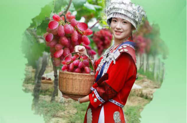 绥宁农特产品将亮相长沙，集中展示生态好物