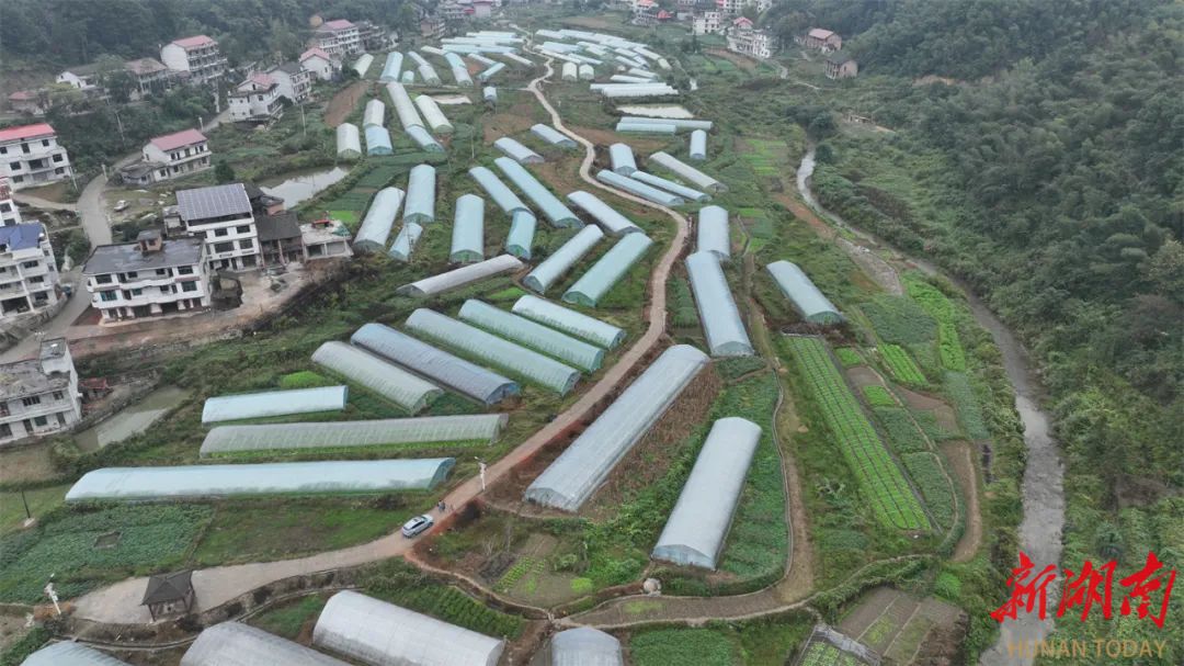 打造“山窝窝”的道德高地——新邵县玄本村志愿服务工作纪实