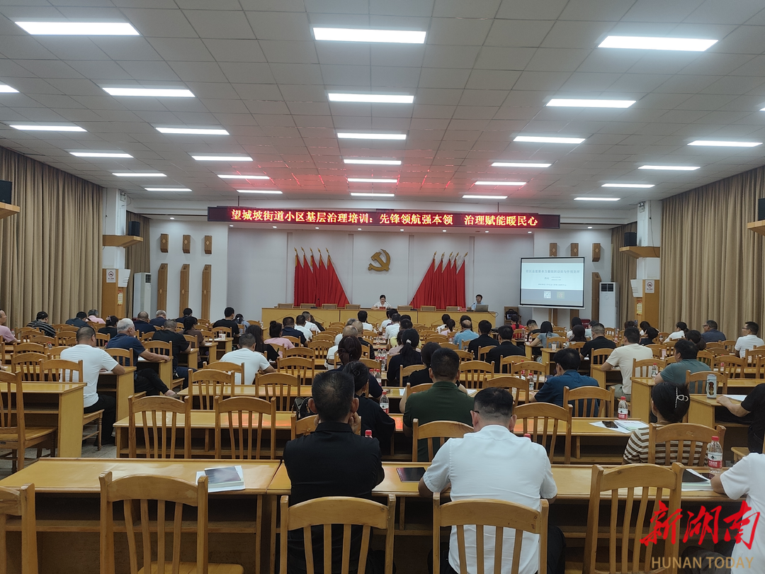 长沙望城坡街道：先锋领航强本领 治理赋能暖民心