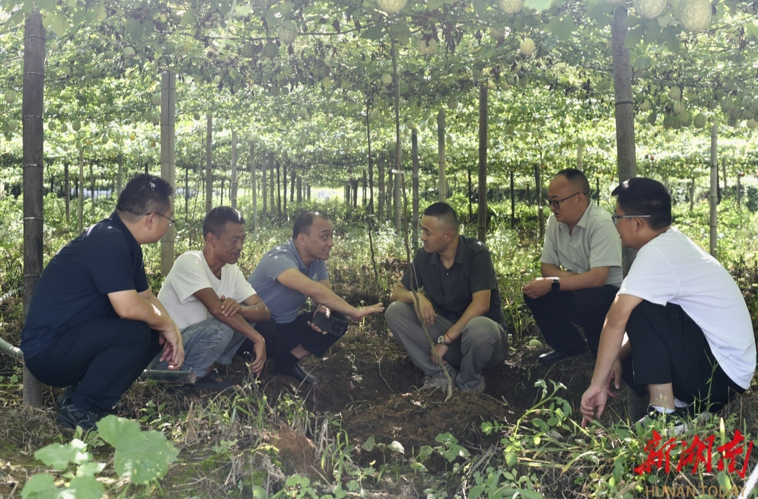 湖南省直工会劳模工匠服务乡村全面振兴活动走进凤凰县禾库镇