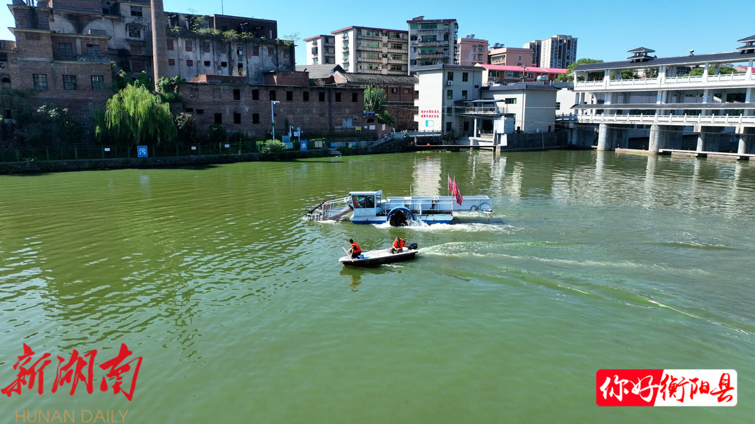 五大行动启新程·城乡面貌提升|县水利局:全力治理蓝藻,守护碧水清波