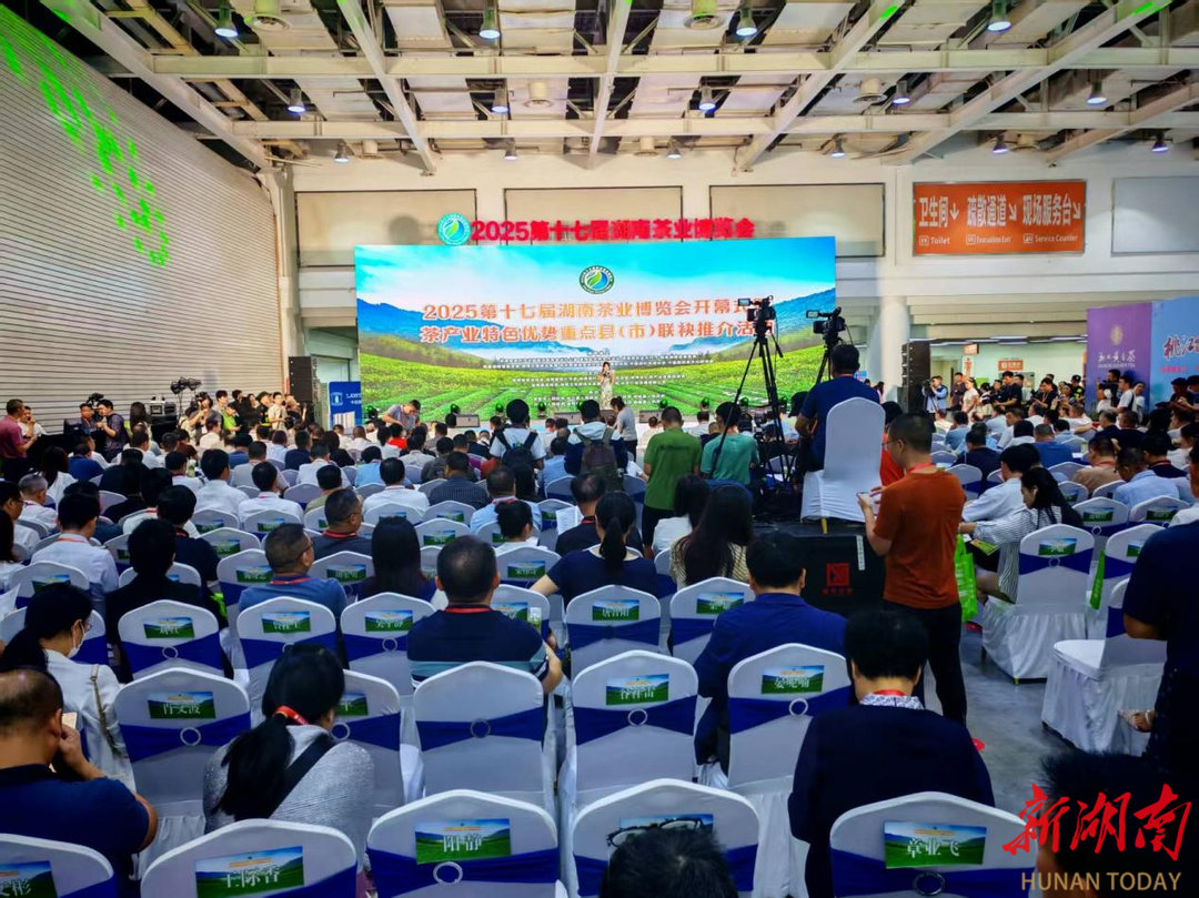 2025第十七届湖南茶博会开幕 新化22家茶企组团参展