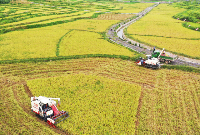 汝城农商银行：警银协作成功拦截涉诈资金