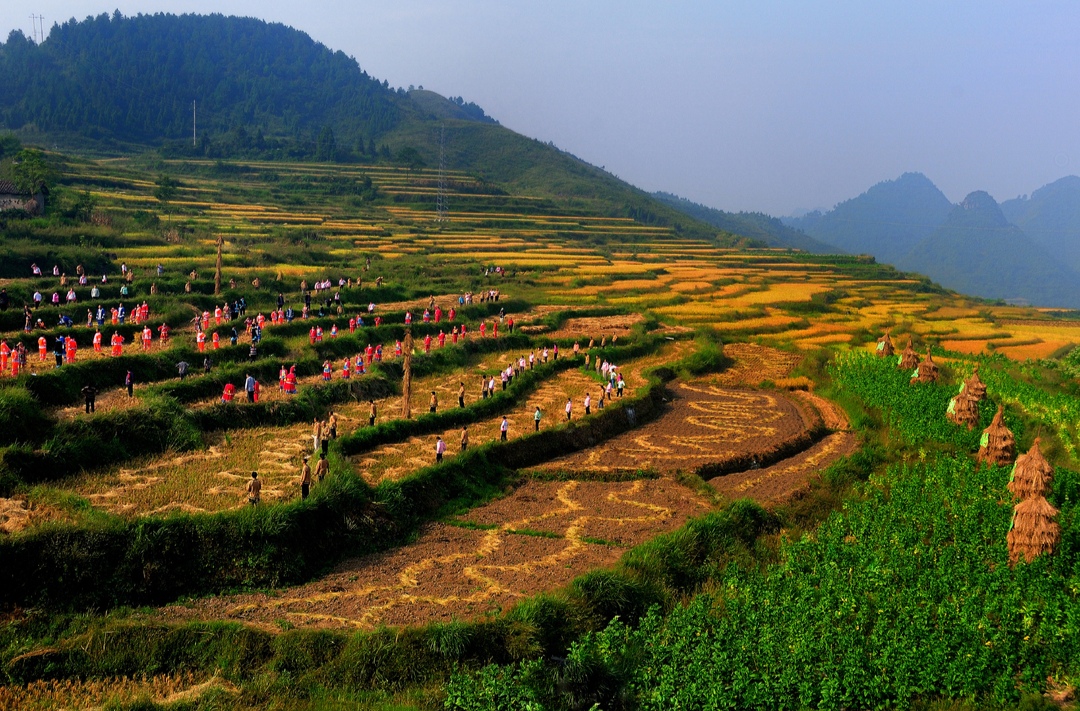原创MV｜一曲大地的颂歌 一阙丰收的礼赞
