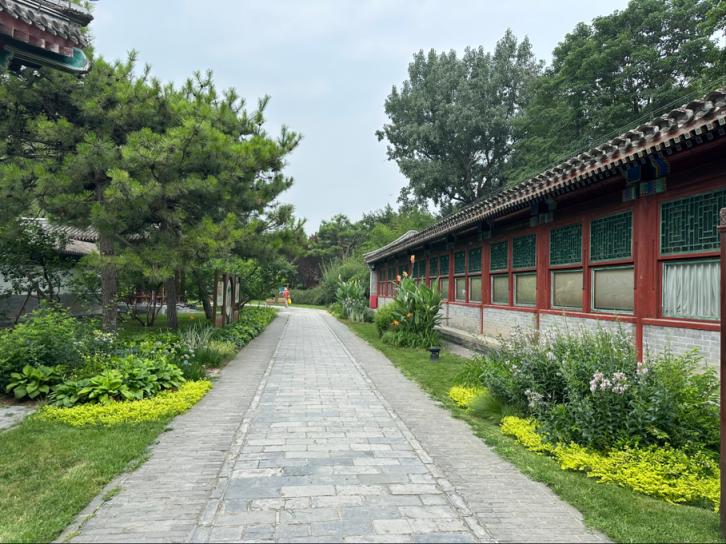 秋季赏花潮来临，北京市属公园发布40余处小而美赏秋花境