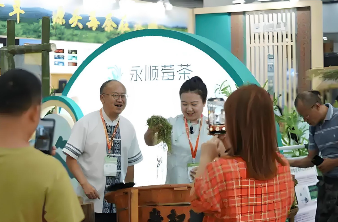 从一片叶到一条链，挖掘茶叶精深价值 第十七届湖南茶博会成交5.75亿元