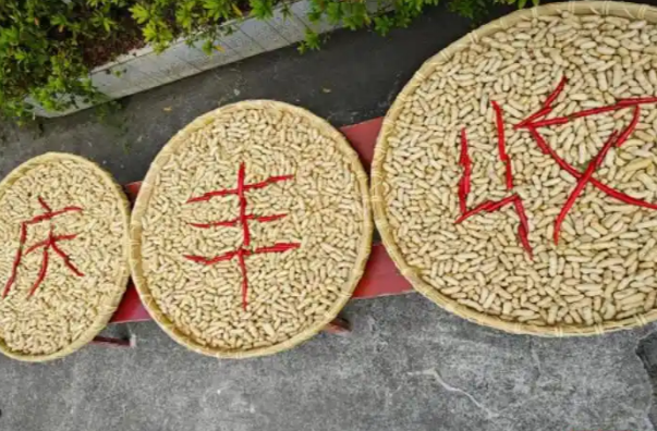 好评中国丨秋分时节稻菽香，丰收节里话丰年