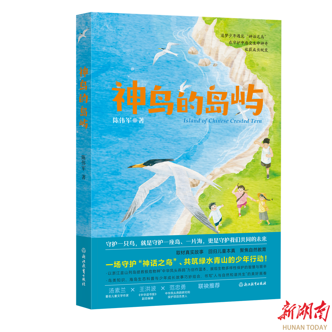 在儿童文学《神鸟的岛屿》中，读懂少年们的坚守