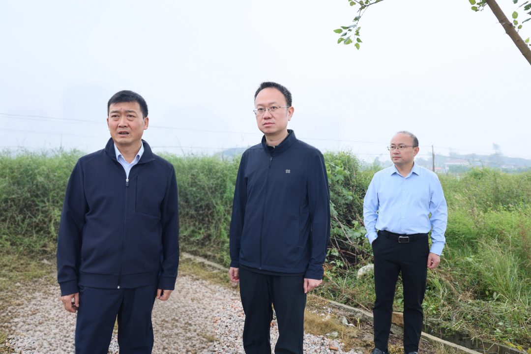 津市：彭子晟调研粮食生产、大气污染防治、秸秆禁限烧及综合利用工作