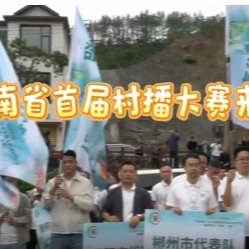 视频丨湖南省首届“村播”大赛来了！