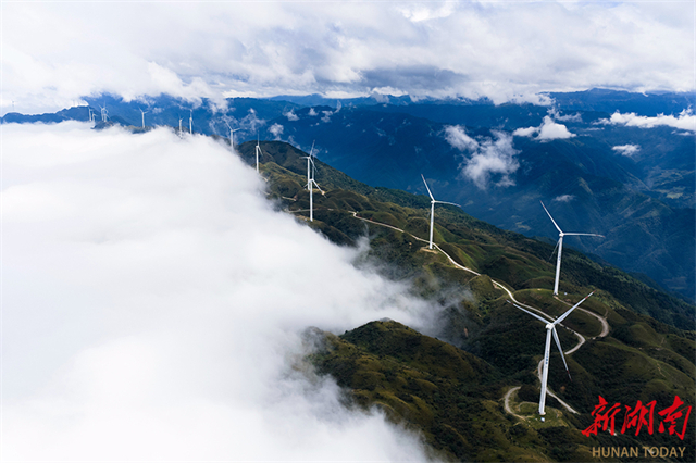 Tongdao Develops Green Energy