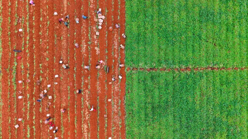 当秋分撞上丰收节！湖南：我的秋天“湘”当丰收