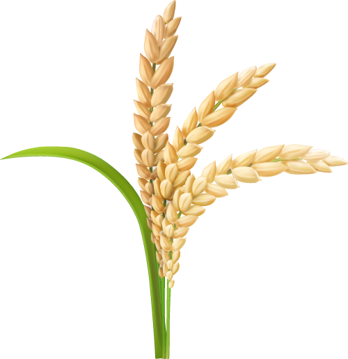 今日秋分，昼夜均而寒暑平，养生重在保养内守之阴气