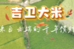 一年只一季！就等这口香~