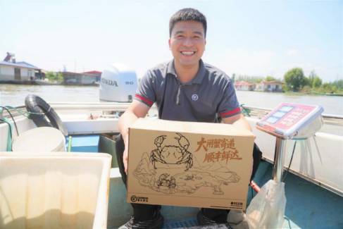 双节高峰全链护航，湖南顺丰以“专业速度”守护“团圆温度”