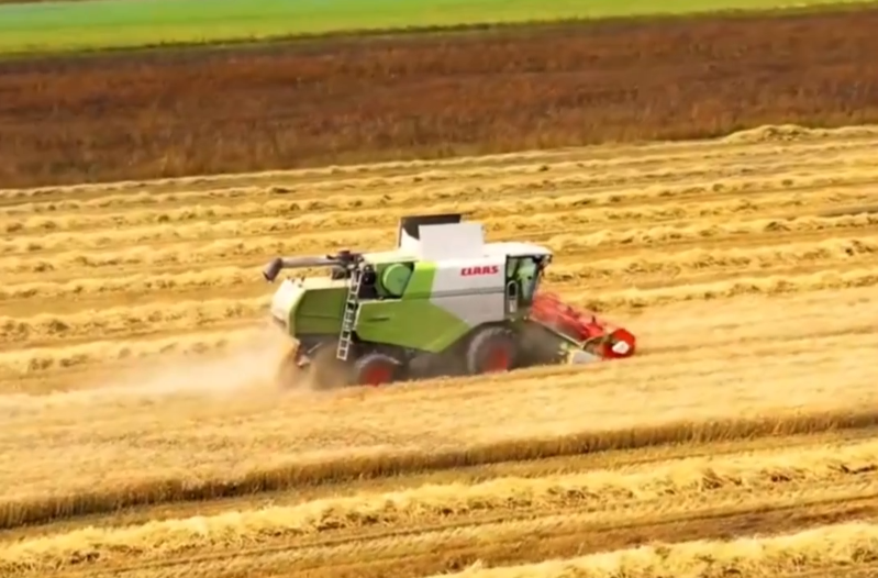 任仲平文章解读｜中华民族伟大复兴势不可挡，势在“康庄大道”