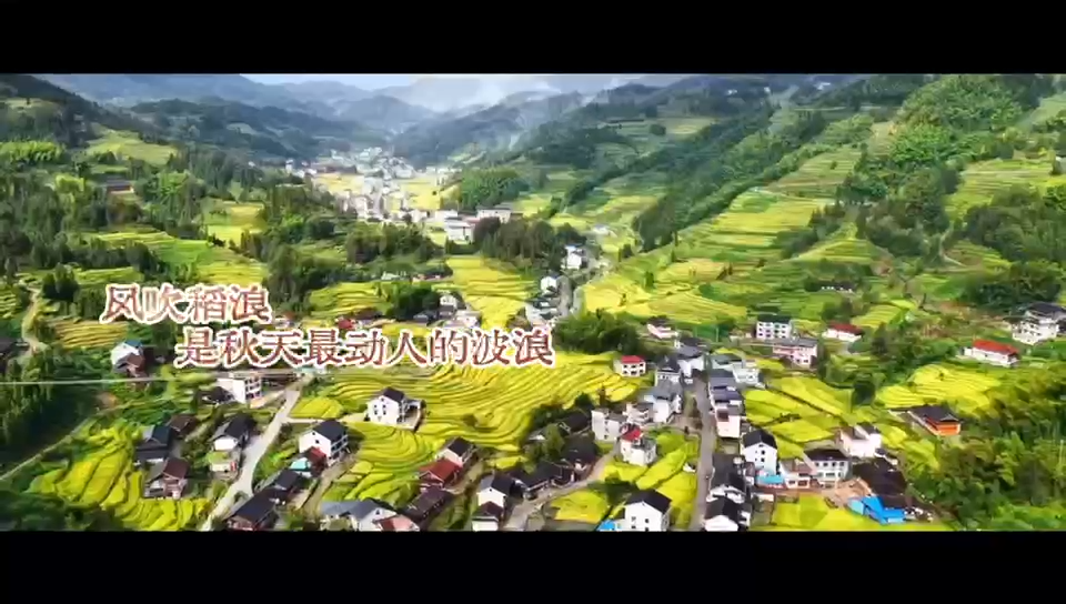 视频|丰收是娄底最美的底色