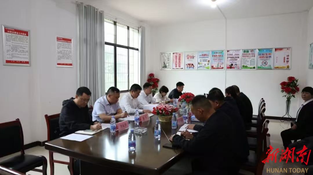 益阳公安领导赴桃江县小桃村实地督导巩固拓展脱贫攻坚成果工作