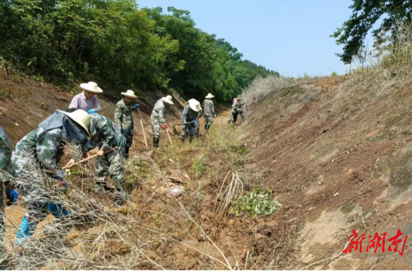 有效恢复2000多亩农田灌溉能力 衡南县龙溪桥水库:渠道整治保畅通