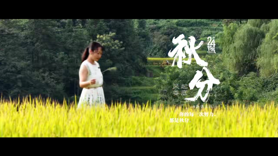 视频|秋风渐起 秋意渐浓