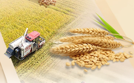 学习新语｜跟着总书记脚步，走过四季庆丰收