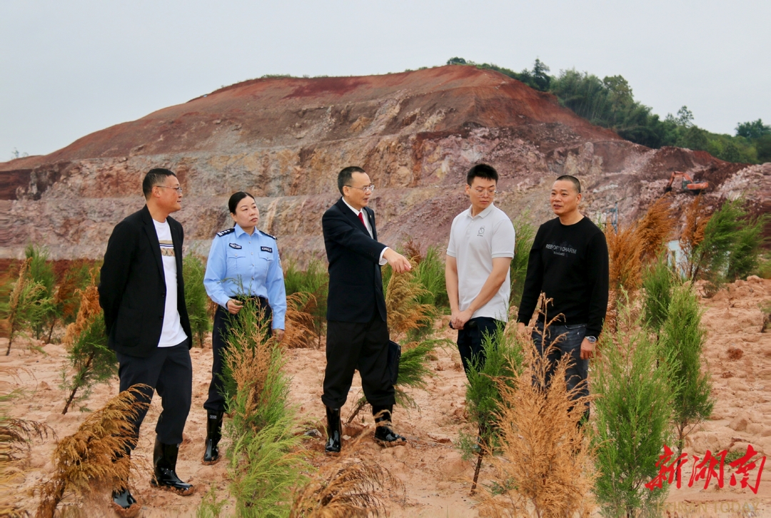 毁林不起诉？ 常宁一纸检察建议让30亩林地重披绿装