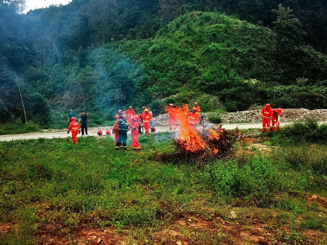 实战练兵筑防线 绥宁全域推进森林火情早期处置演练
