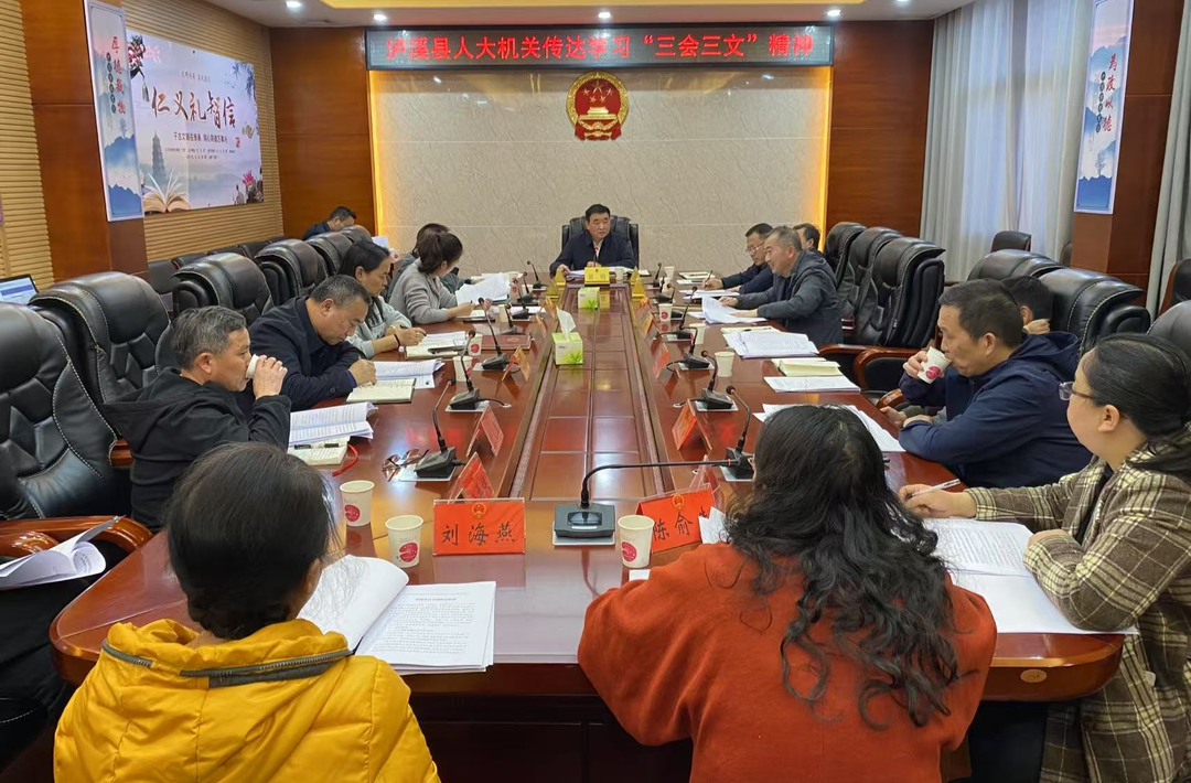 县市人大践行“三会三文”进行时•泸溪|写好“四篇文章” 绘就县乡人大高质量发展新图景