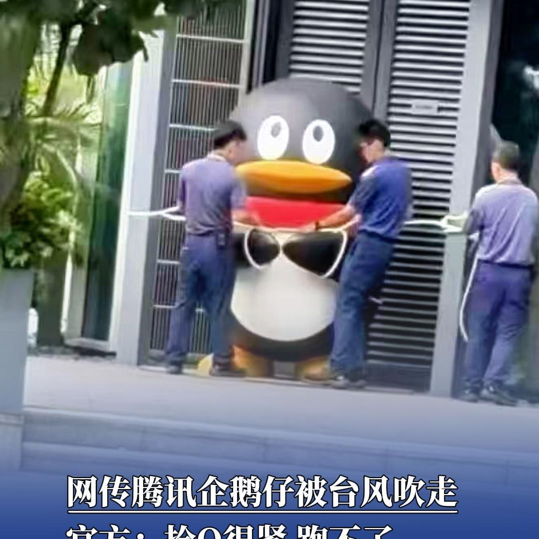 拴Q了，企鹅仔被台风吹走？腾讯：鹅栓着呢