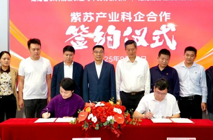 湘野红姐与湖南省农科院“牵手”   力争将紫苏打造成湖南农业的新名片