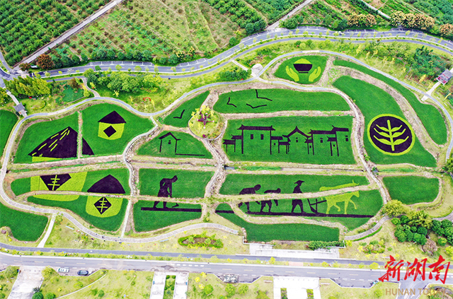 2025 Chinese Farmers' Harvest Festival Celebrated in Hunan