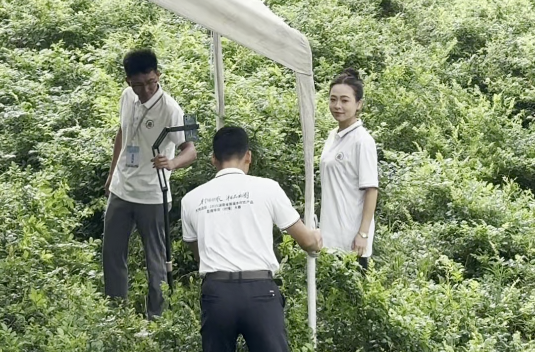 视频|“村播”大赛，娄底主播火力全开