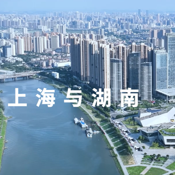 快闪视频丨沪上青年，湖南等你来“湘”见！