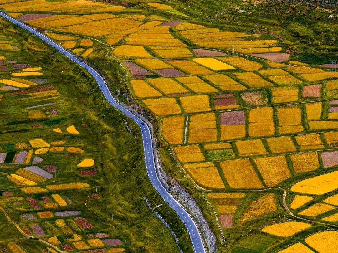 微信图片_20250914210657_18_88.jpg 微信图片_20250914210657_18_88.jpg