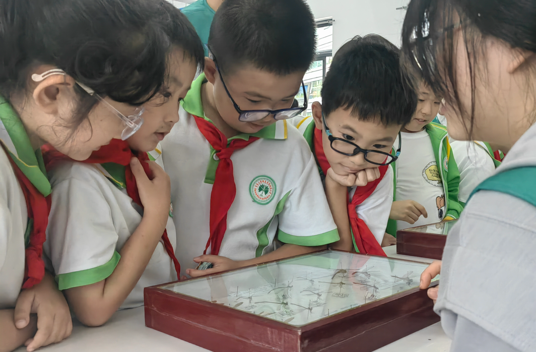 当党建红遇上科普蓝！这场校园活动让科学种子生根发芽