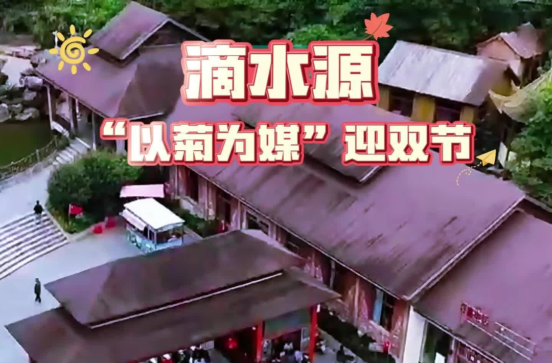 视频 | 临武滴水源景区：“以菊为媒”迎双节