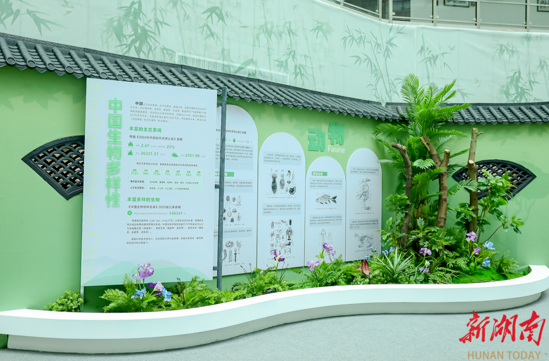 免费逛，中法环境月特展登陆湖南省地质博物馆