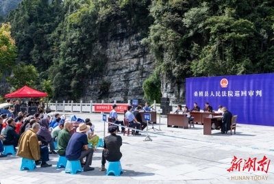 构建全链条生态司法保护机制 桑植县法检“两长”同审生态案