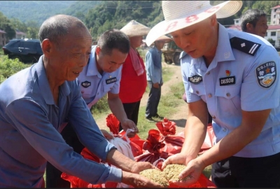 稻子熟了，小心骗子电话