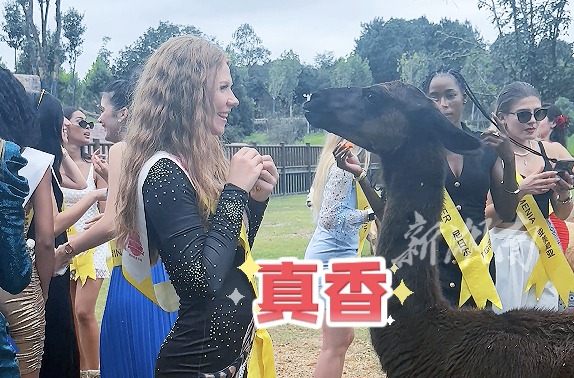“世姐”汉寿行 ｜ 快乐溢出屏幕！美女与萌宠成一道靓丽风景线