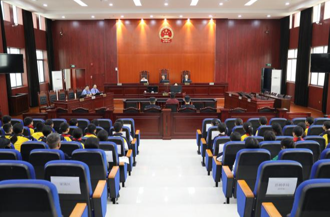 打卡法院开放日！小学生们走进审判现场，解锁法徽下“没有课本的教室”