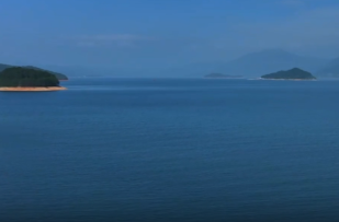 视频丨秋韵东江湖  画里客悠游