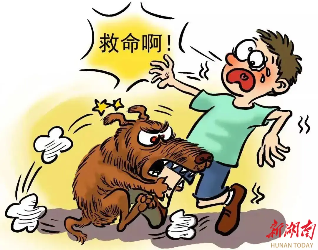 世界狂犬病日|认识狂犬病的真相，科学预防守护生命