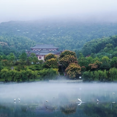 湖南日报观察头条·此心安处是东江丨资兴：禅茶之味 人间至味