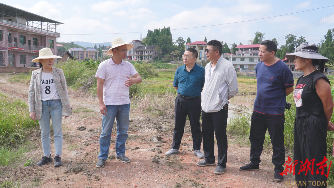 省级专家到新化示范点指导秸秆“变废为肥”