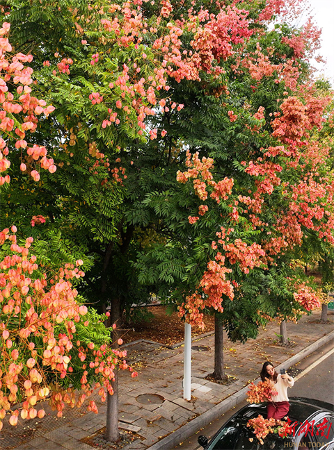 Amazing Autumn Scenery in Hengyang City